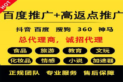 行业领先企业的SEM竞价推广策略揭秘
